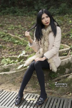 我的人间烟火1-40集免费