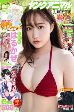 av免费观看网站